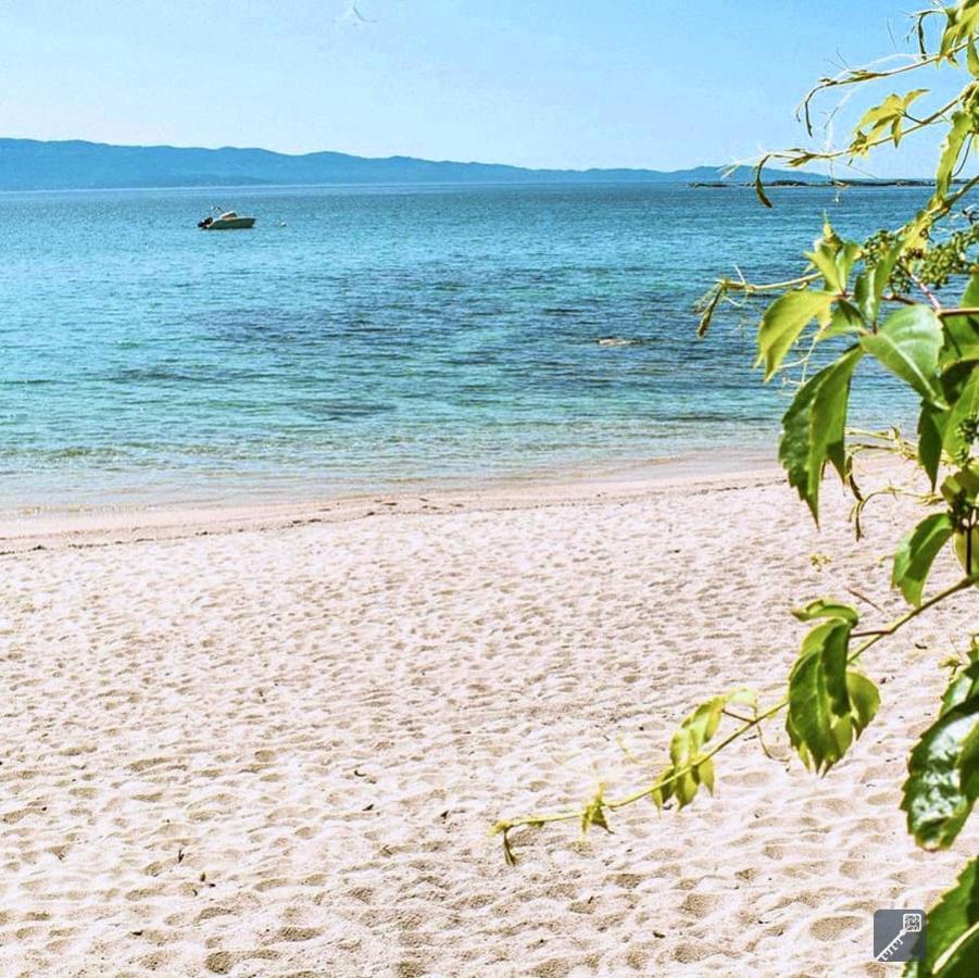 Evasion Corse - T2 Vue Mer, Piscine & Plage أجاكسيو المظهر الخارجي الصورة