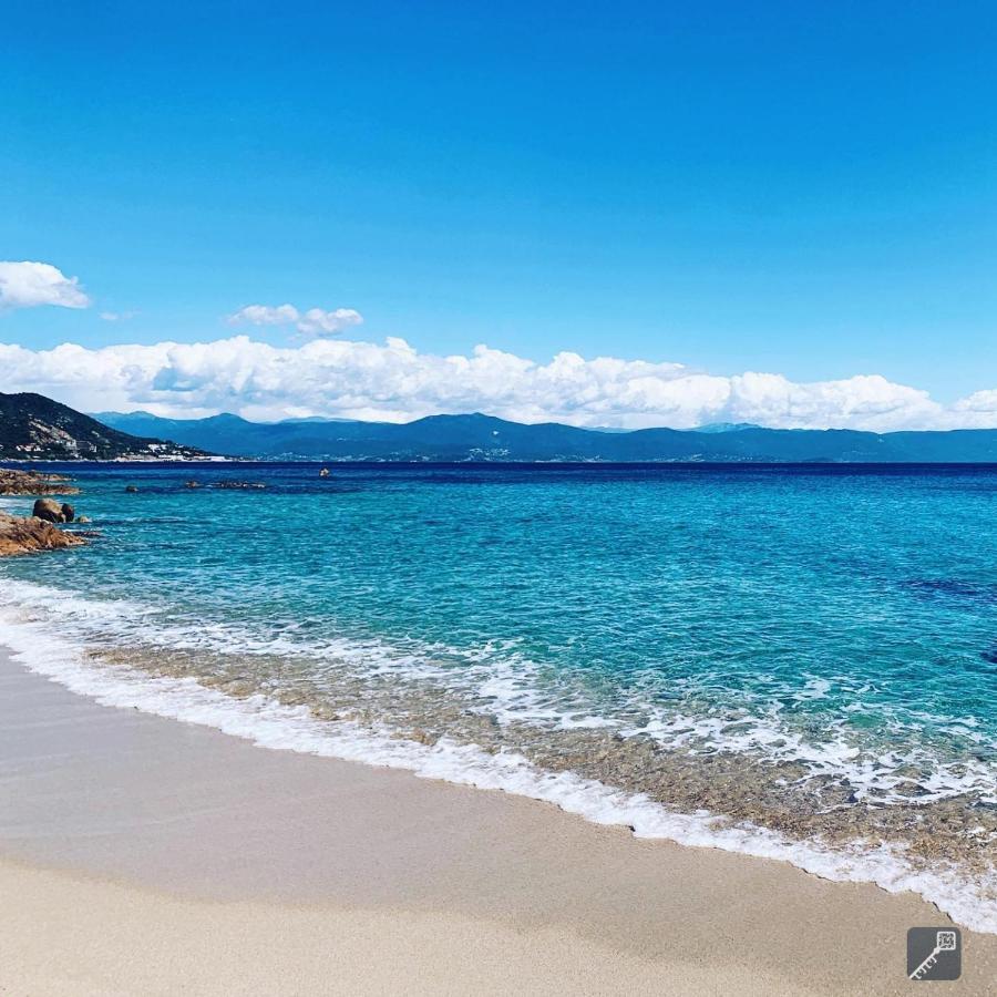 Evasion Corse - T2 Vue Mer, Piscine & Plage أجاكسيو المظهر الخارجي الصورة