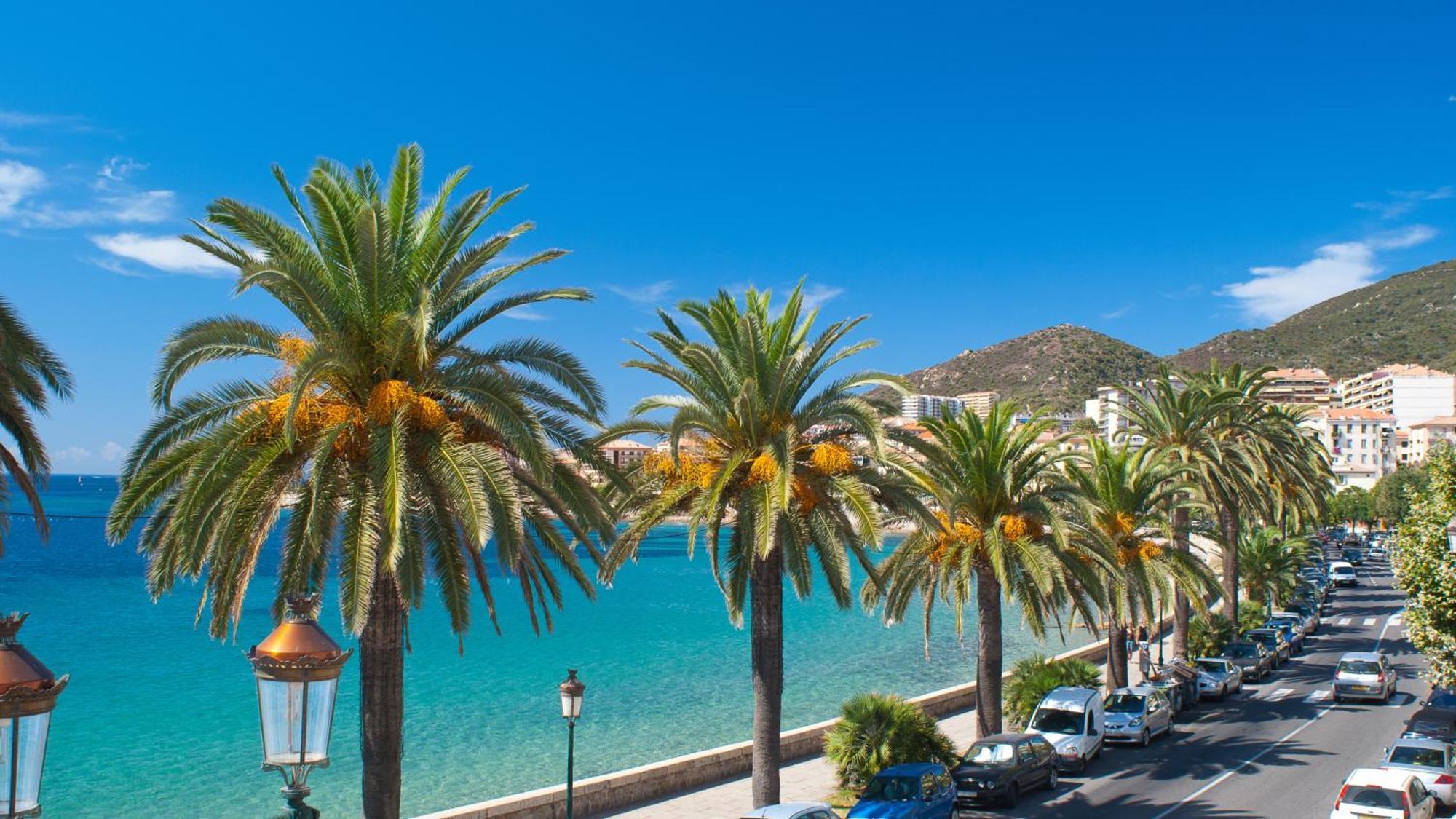 Evasion Corse - T2 Vue Mer, Piscine & Plage أجاكسيو المظهر الخارجي الصورة