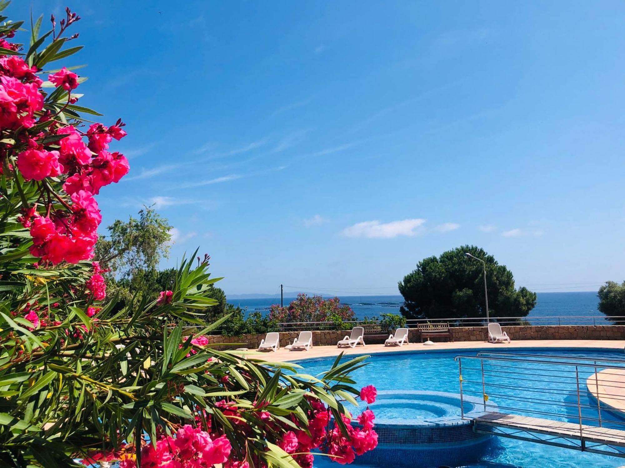 Evasion Corse - T2 Vue Mer, Piscine & Plage أجاكسيو المظهر الخارجي الصورة