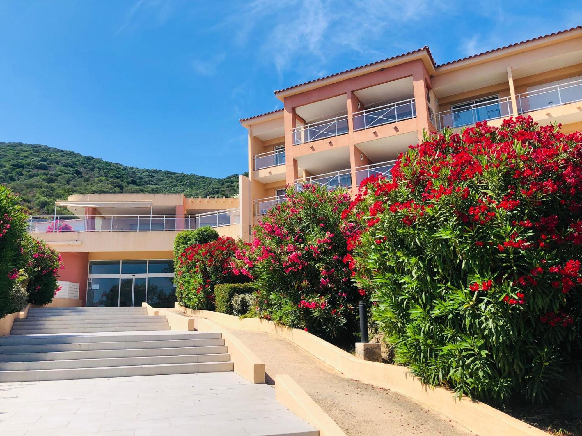 Evasion Corse - T2 Vue Mer, Piscine & Plage أجاكسيو المظهر الخارجي الصورة
