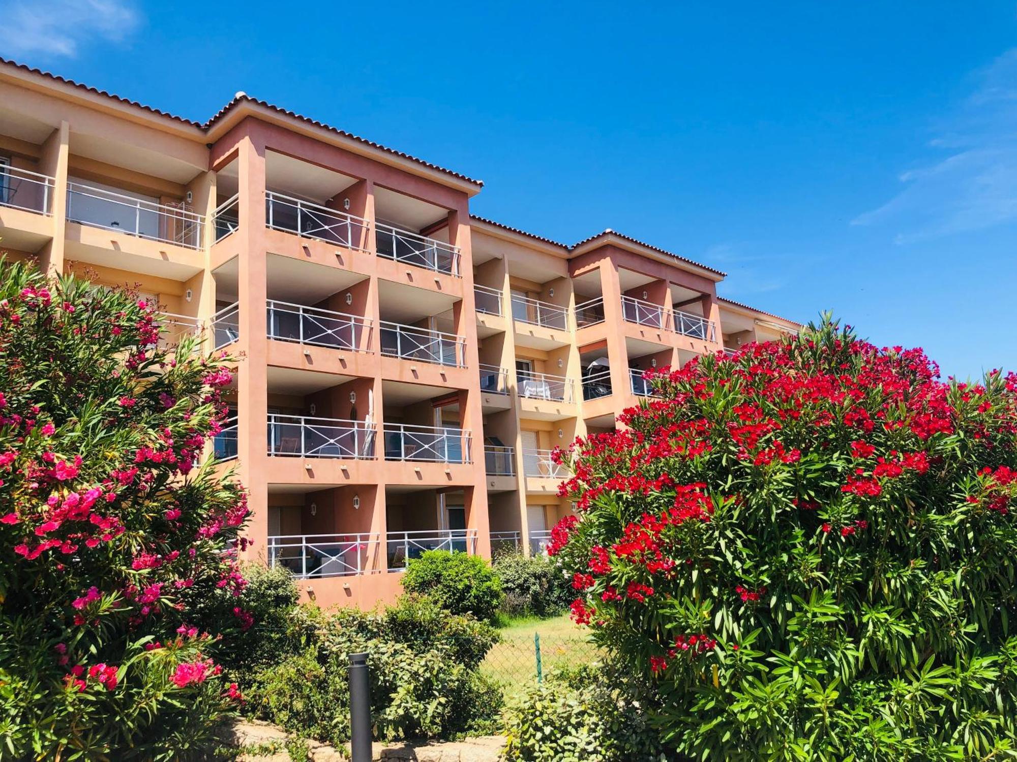Evasion Corse - T2 Vue Mer, Piscine & Plage أجاكسيو المظهر الخارجي الصورة